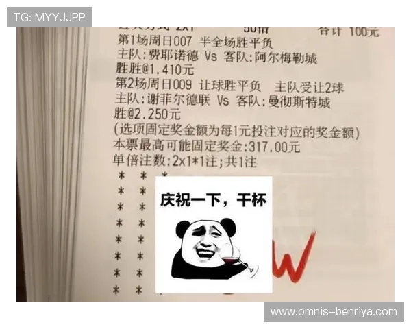 掌握足彩必发盈亏技巧优化投注方案提升盈利能力实现财务自由的必备知识