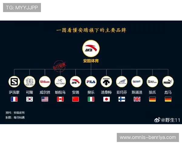 全球知名体育运动品牌发展历程与未来趋势深度分析为运动爱好者提供专业参考